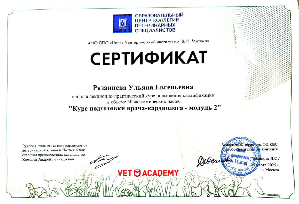Документ или сертификат