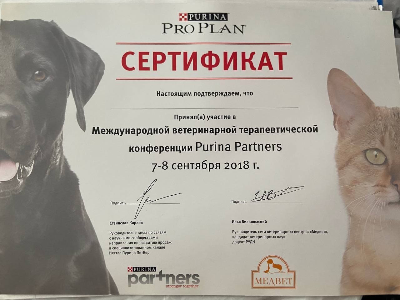 Документ или сертификат
