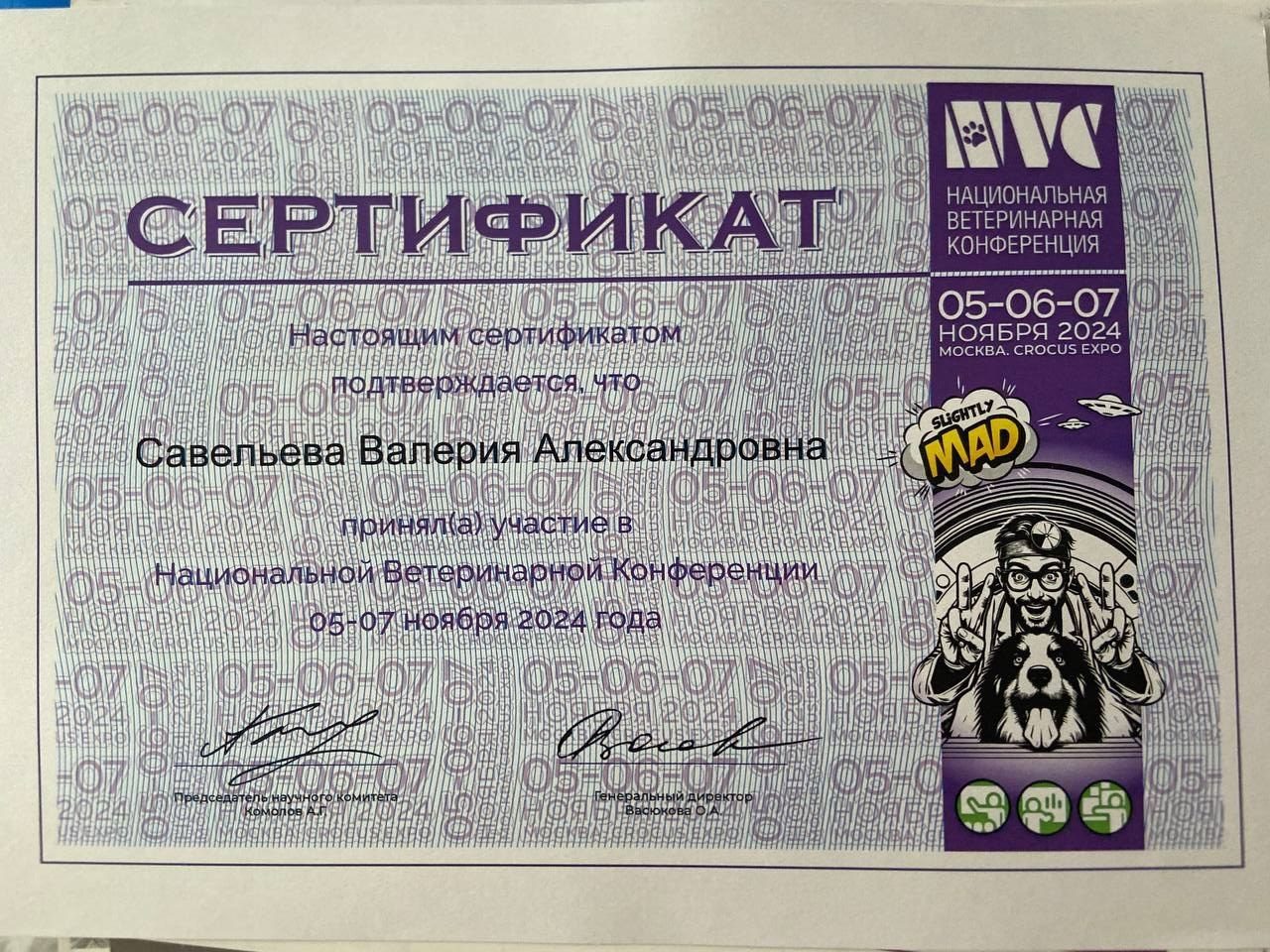 Документ или сертификат