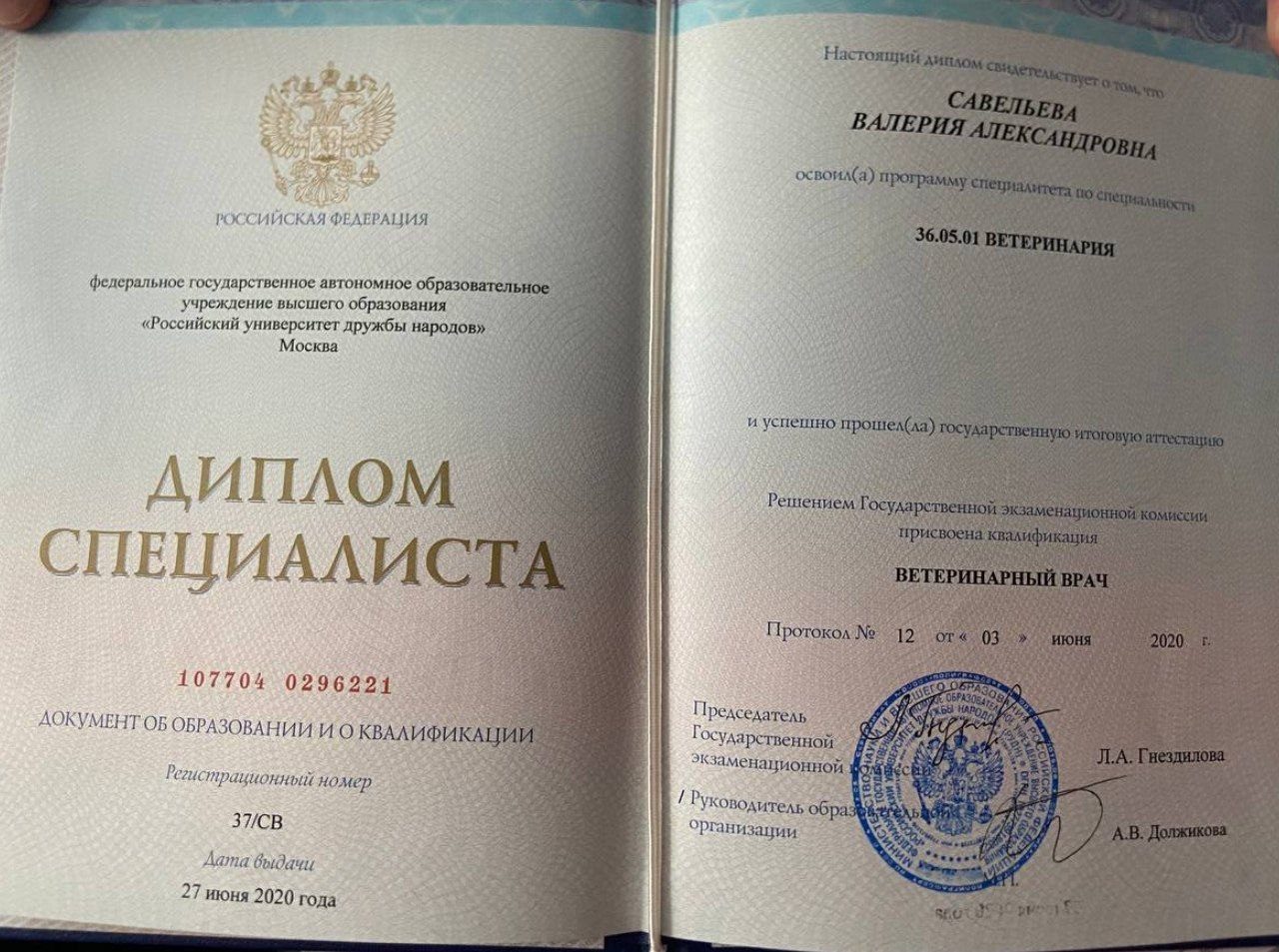 Документ или сертификат