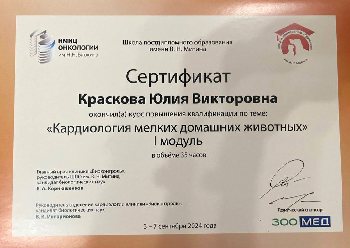 Документ или сертификат