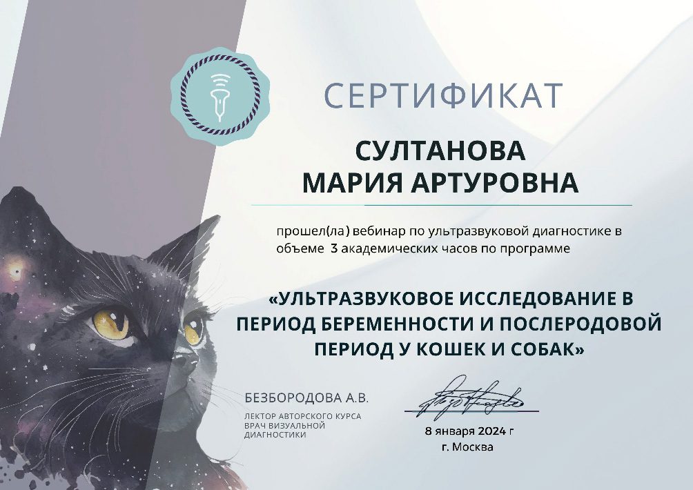 Документ или сертификат