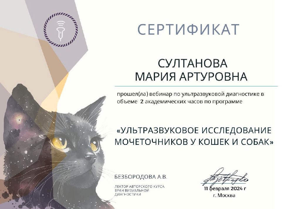 Документ или сертификат