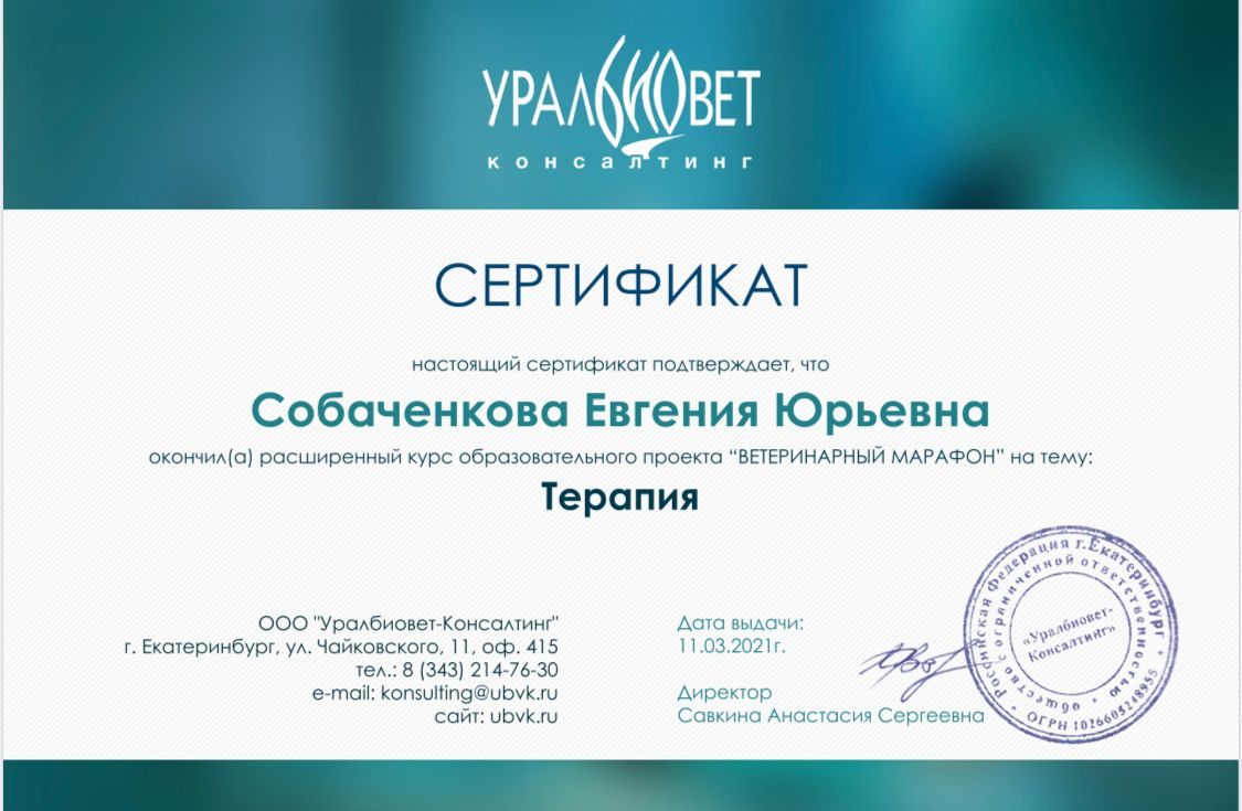 Документ или сертификат