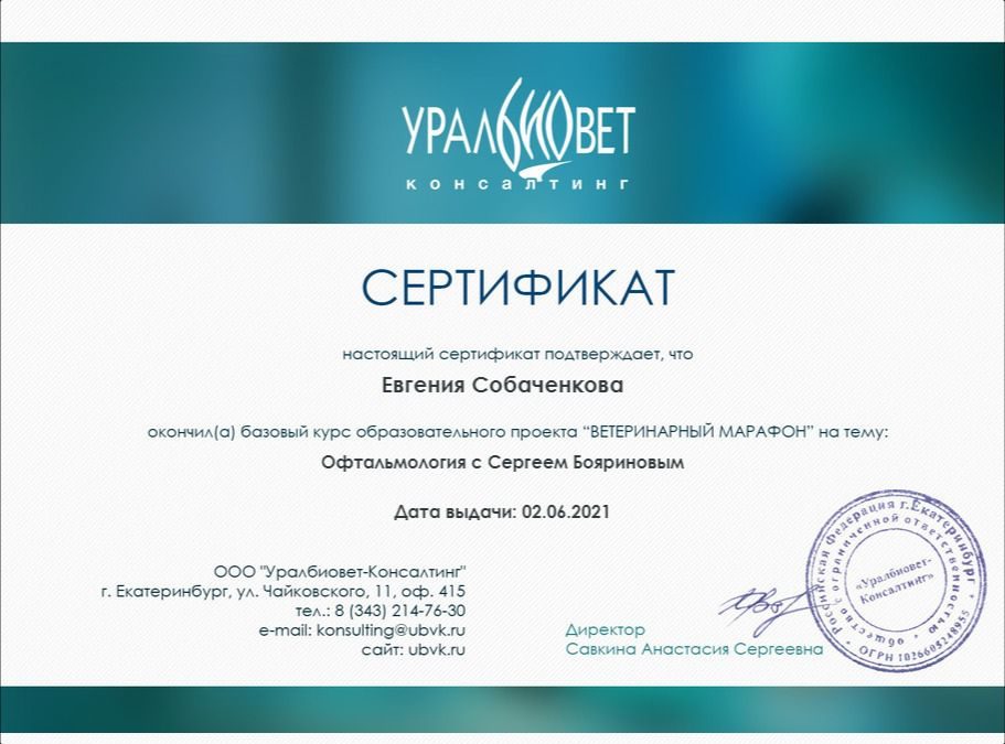 Документ или сертификат