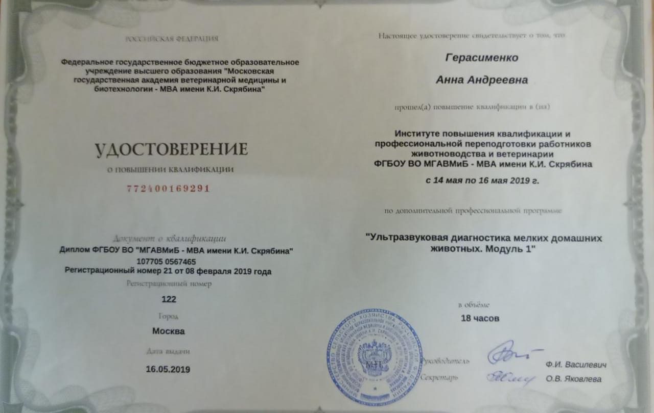 Документ или сертификат