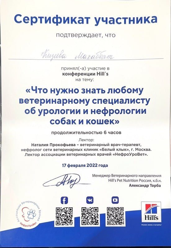 Документ или сертификат