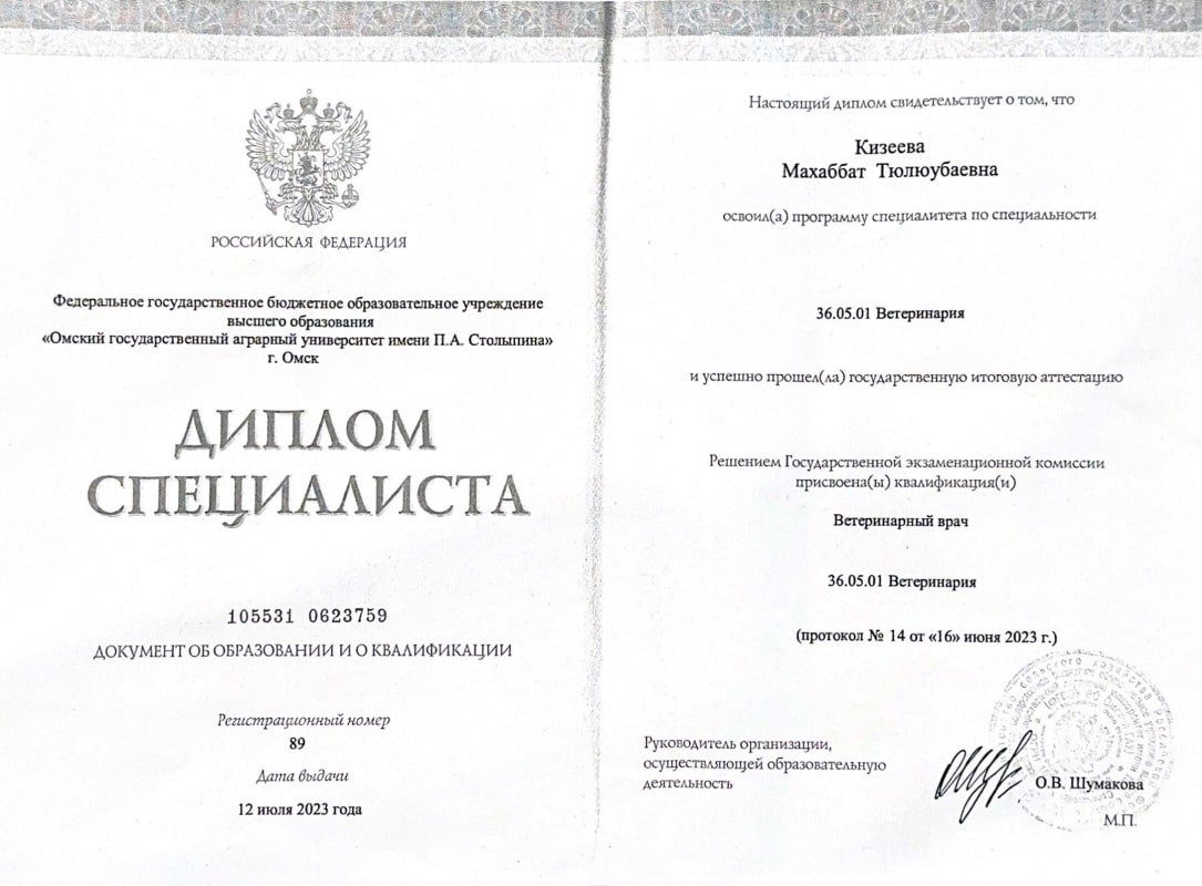 Документ или сертификат