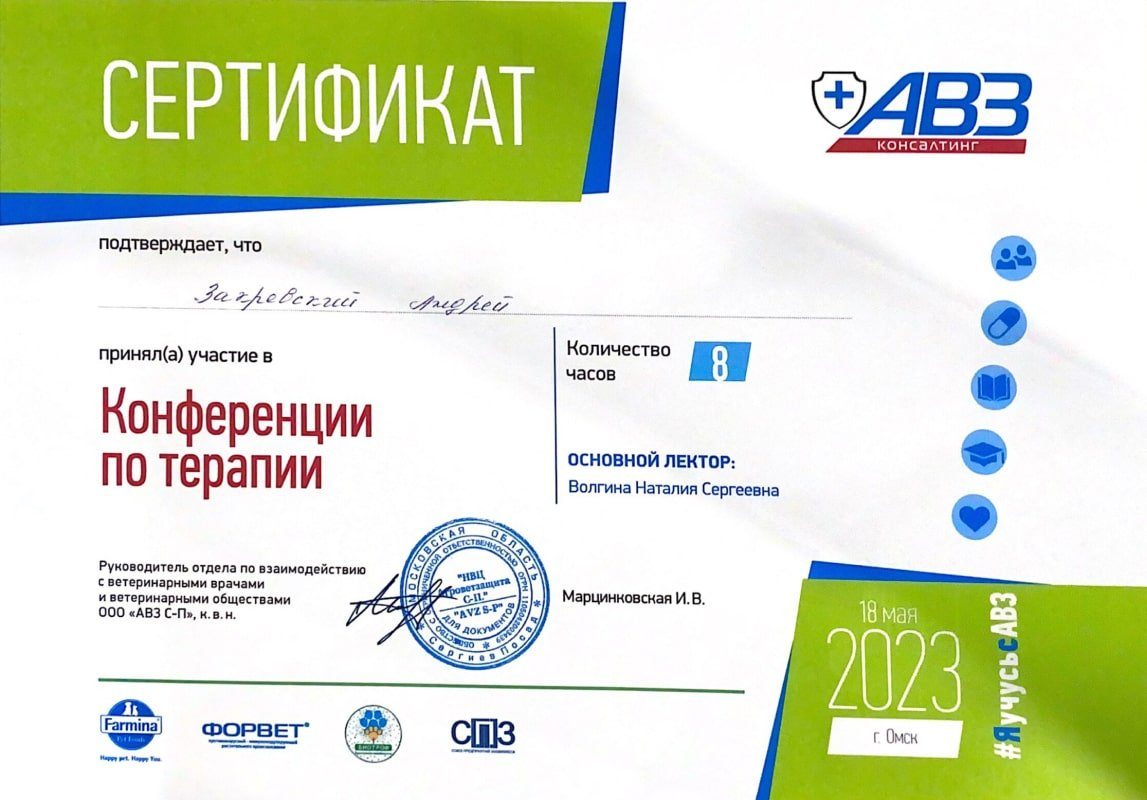 Документ или сертификат