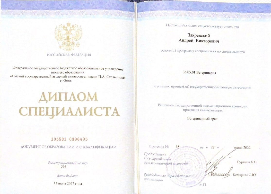 Документ или сертификат