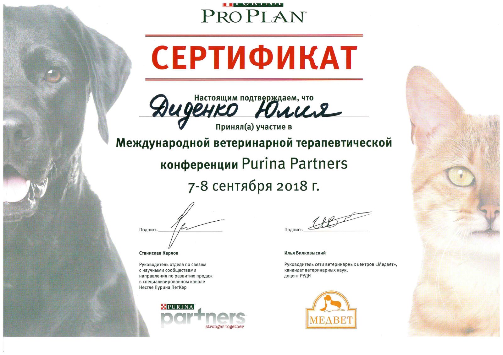 Документ или сертификат