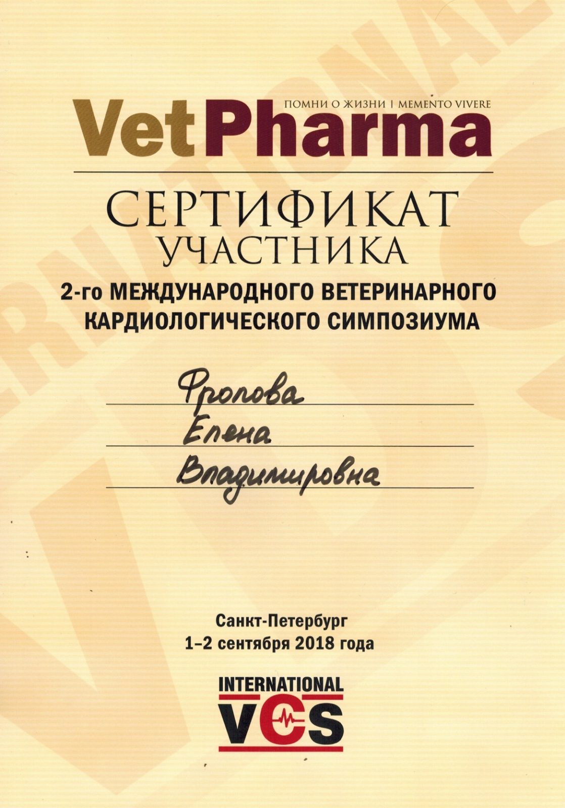 Документ или сертификат