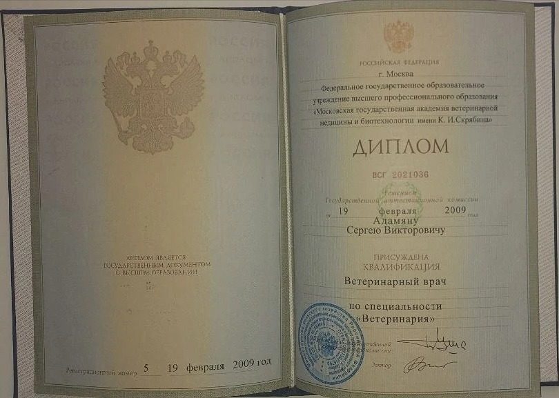 Документ или сертификат