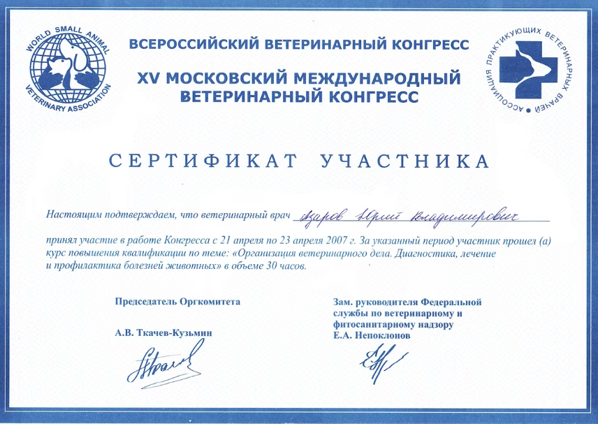 Документ или сертификат