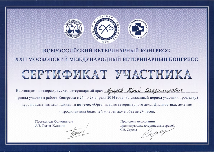 Документ или сертификат