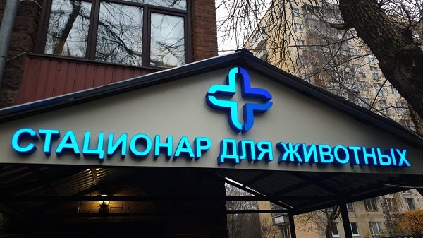 Фото клиники 98430