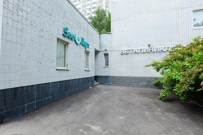Фото клиники 98571