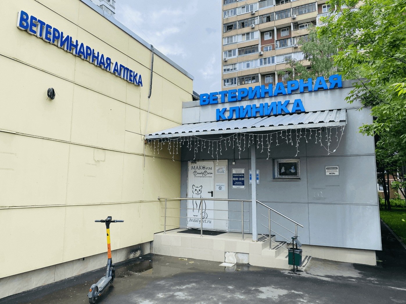 Фото клиники 98814