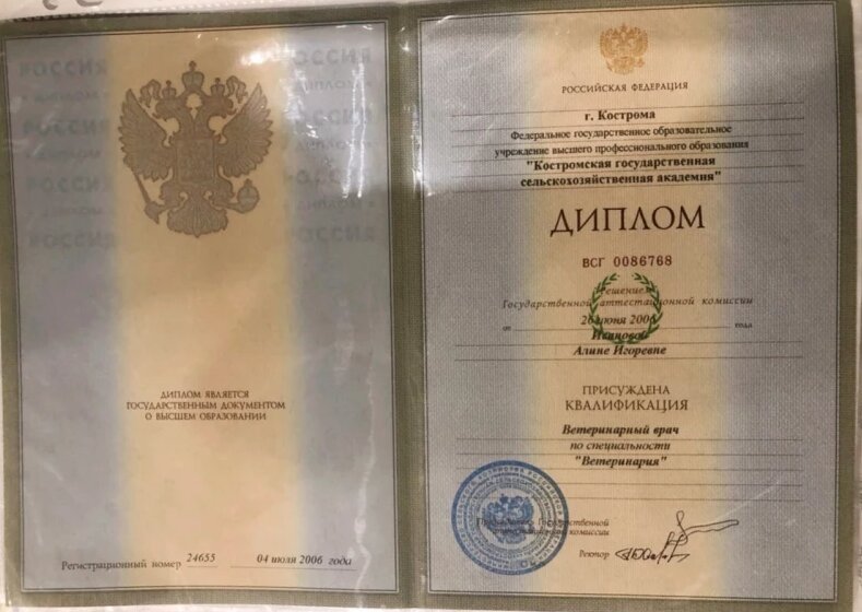 Документ или сертификат