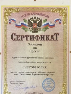Фото «Силкова Юлия Геннадиевна»