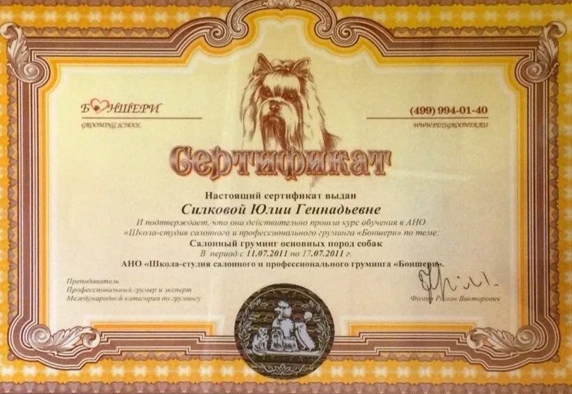 Документ или сертификат