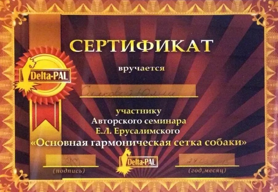 Документ или сертификат