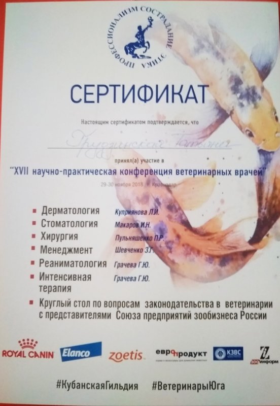 Документ или сертификат