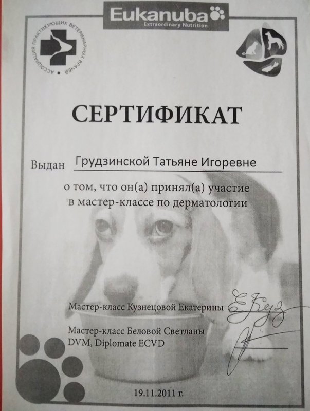 Документ или сертификат