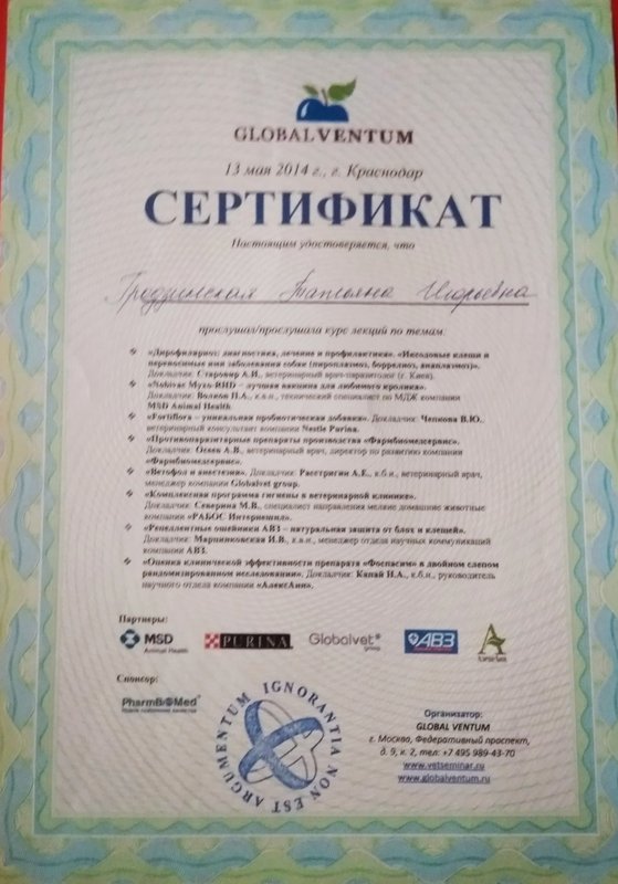 Документ или сертификат