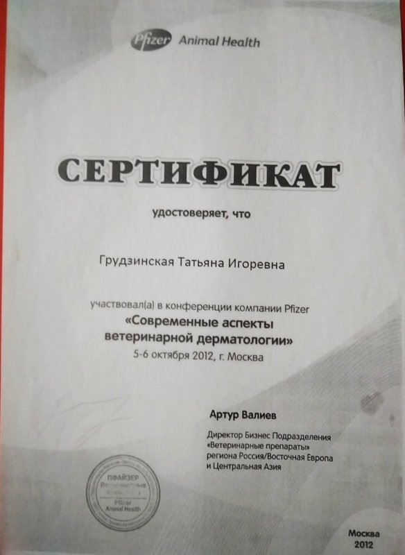 Документ или сертификат
