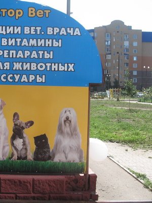 Фото врача Яковлева Светлана Анатольевна