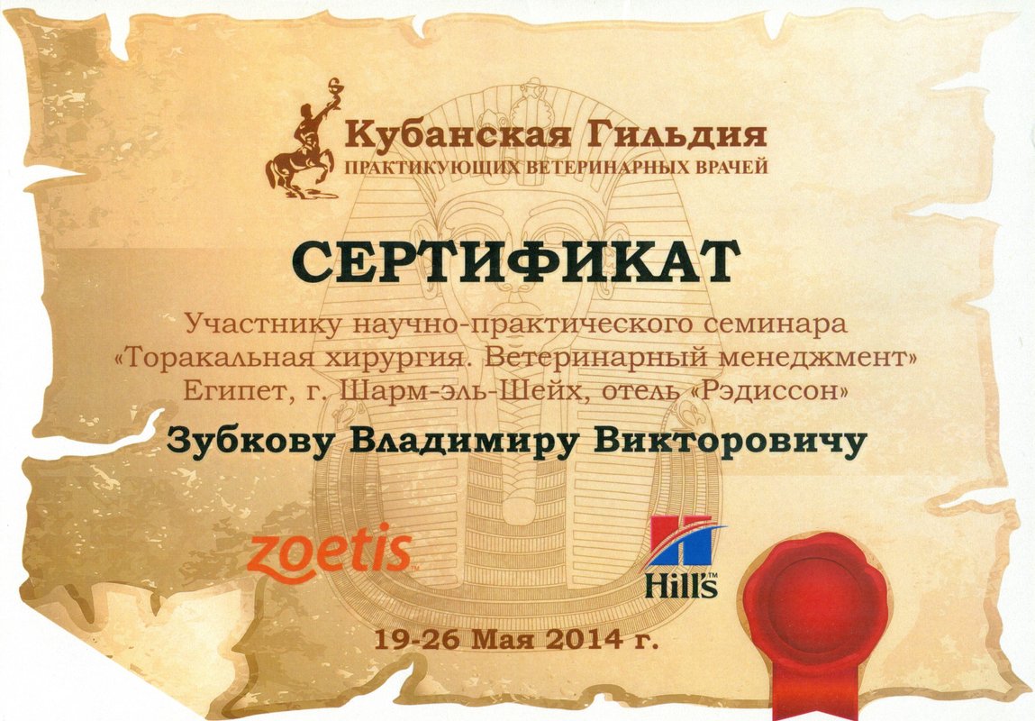 Документ или сертификат