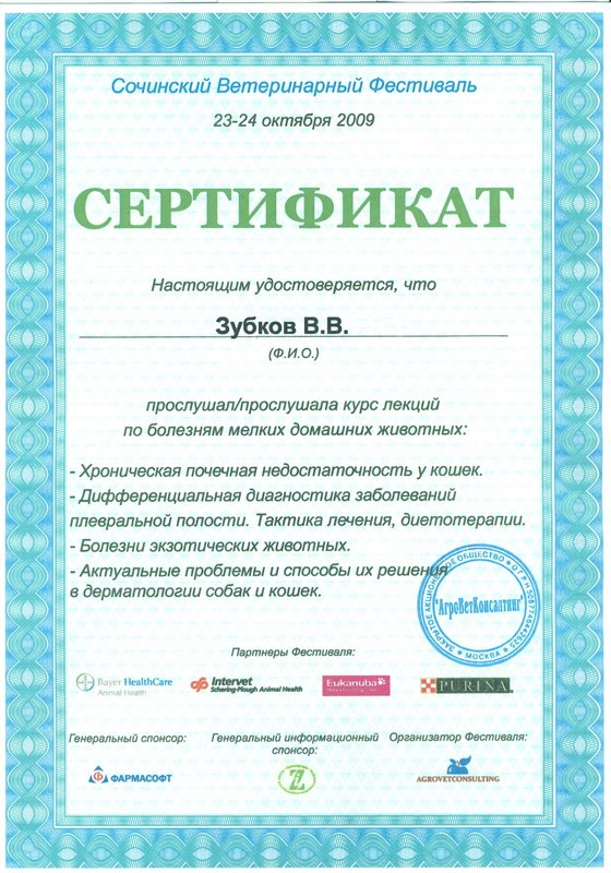 Документ или сертификат