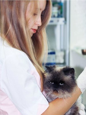 Фото врача Попова Алина