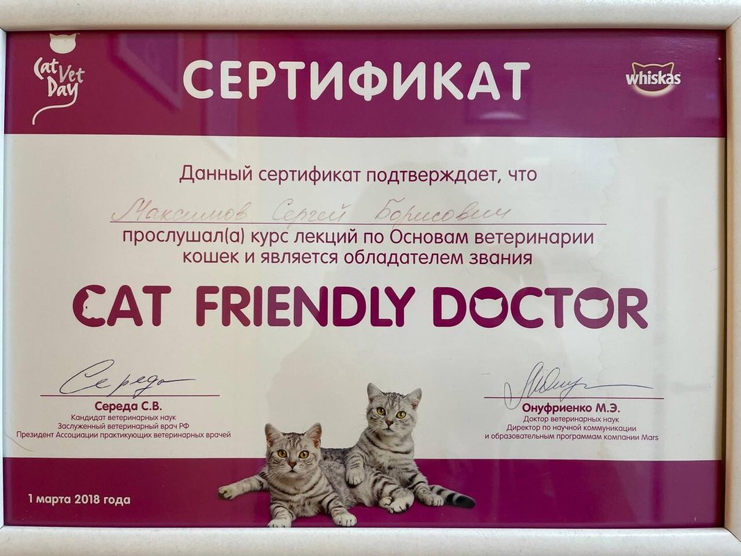 Документ или сертификат