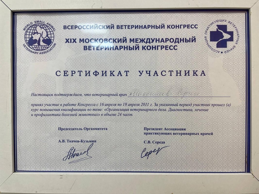 Документ или сертификат