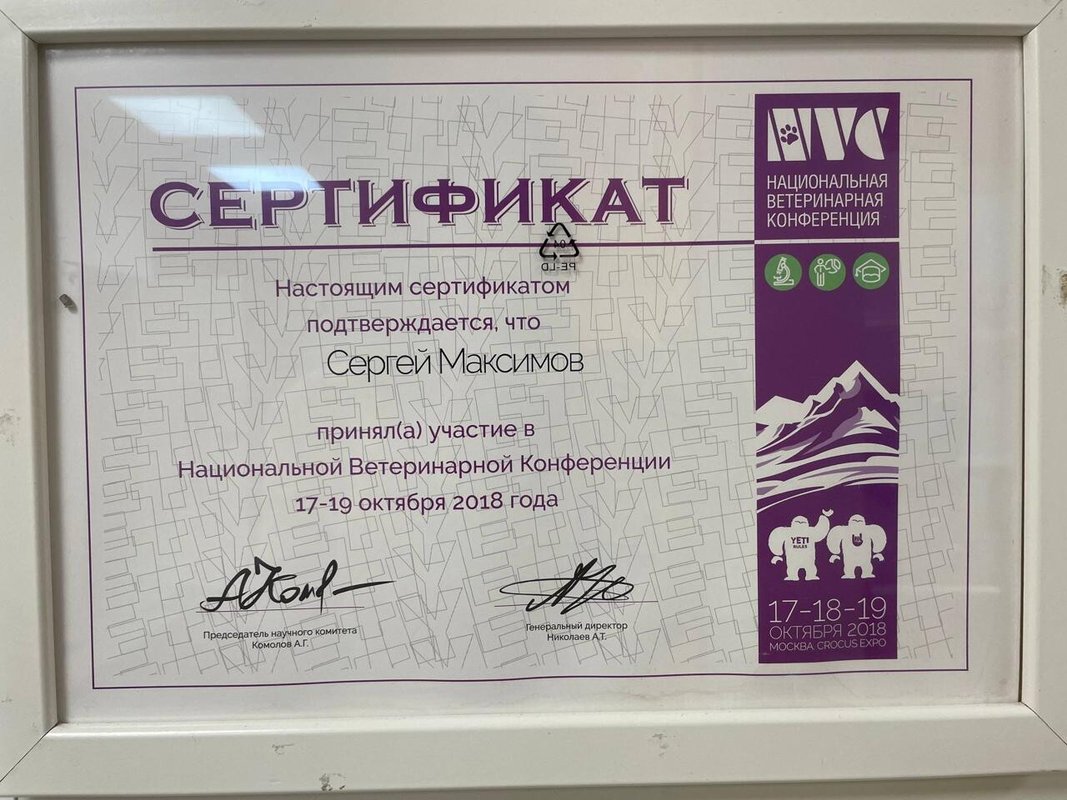 Документ или сертификат