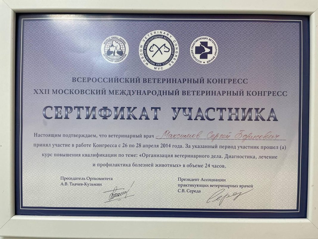Документ или сертификат