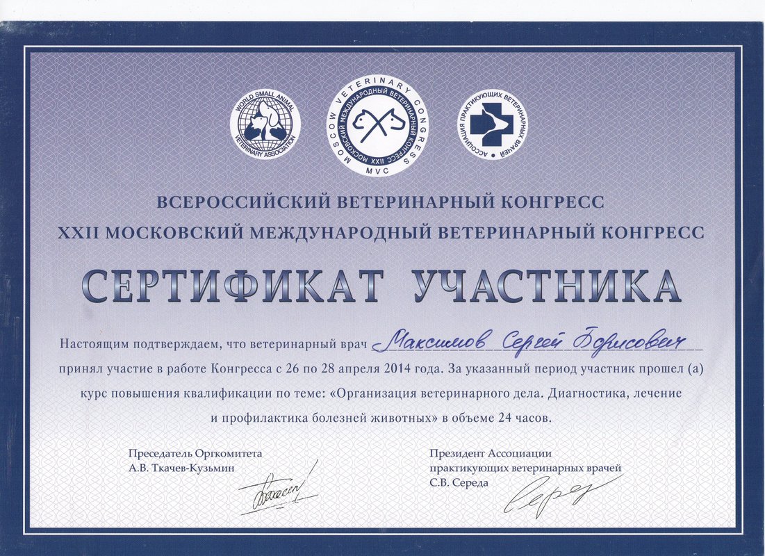 Документ или сертификат