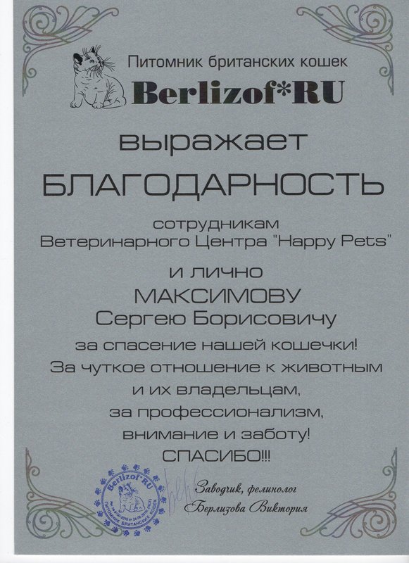 Документ или сертификат