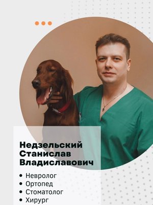 Фото врача Недзельский Станислав Владиславович
