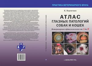Фото врача