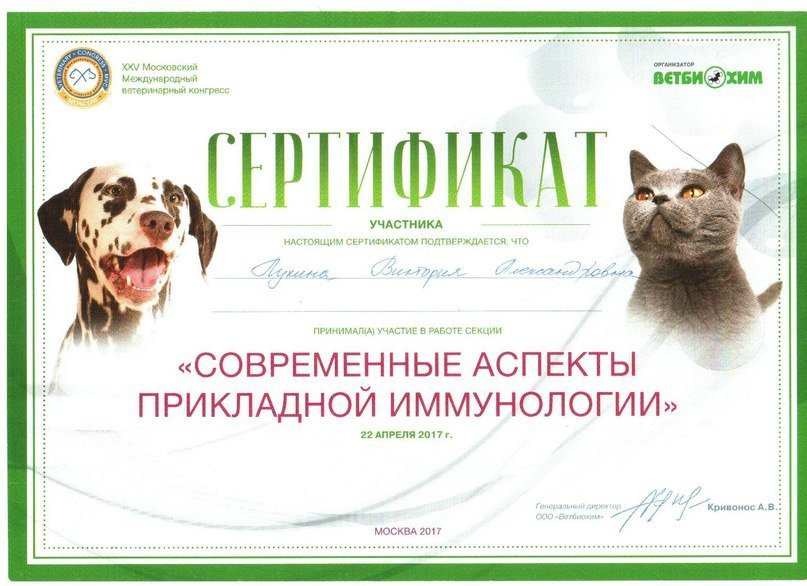 Документ или сертификат