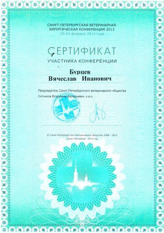 Документ или сертификат