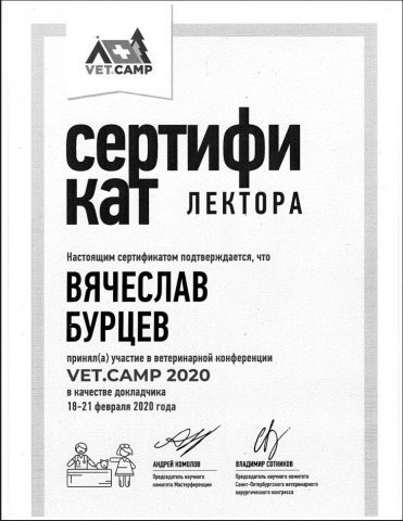 Документ или сертификат