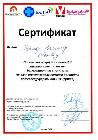 Документ или сертификат