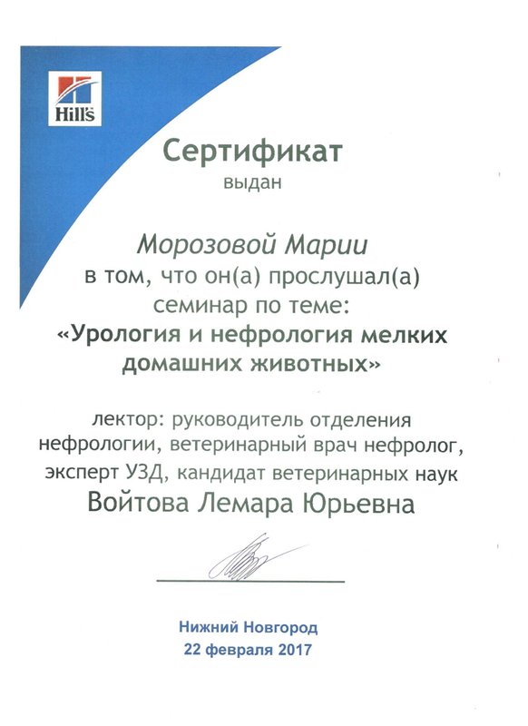 Документ или сертификат