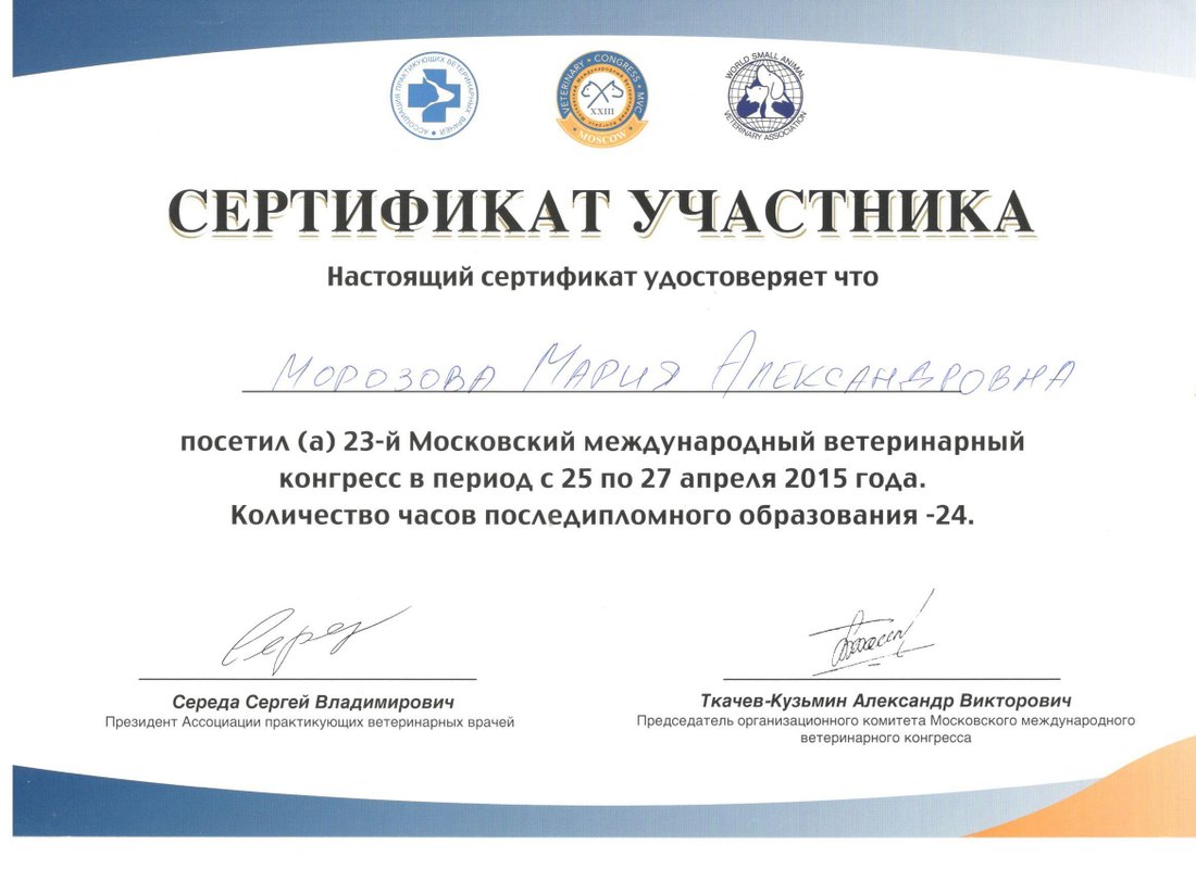 Документ или сертификат