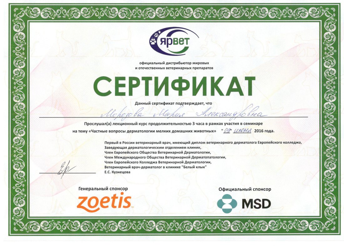 Документ или сертификат