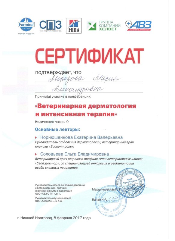 Документ или сертификат